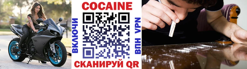 COCAIN Fish Scale  купить закладку  Озёры 
