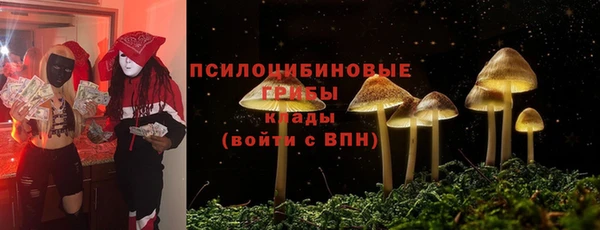 кокаин премиум Гусев