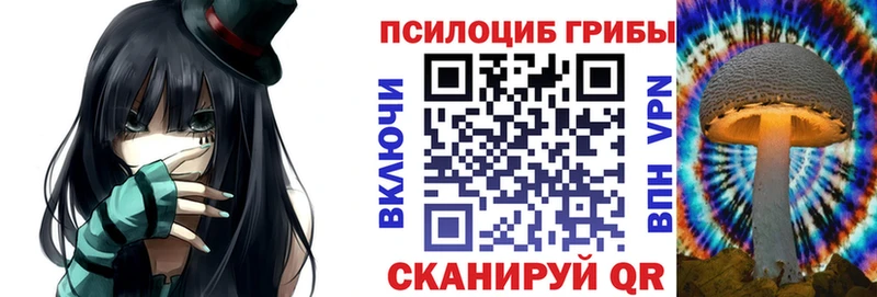 shop какой сайт  MEGA маркетплейс  Озёры  Галлюциногенные грибы ЛСД 